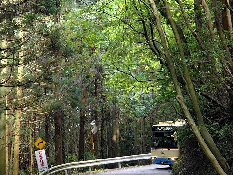 �W�D�X�����k�� �������p�I�i�Ɨ��}���E�S��}������j