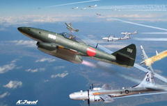 ����͑G���~�낵�̂��߂ɐ��ϐR�ɏo��H