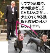 �Ό��s���Z����s�n�n�ҁA�s�m���ďo�n���H