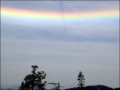 �w���S�n�x������ŋt�����H�n�U�[�����Z�������񂽂��A�܂�������炩���܂������H