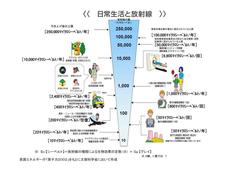 ���������̕��ː���Q�������F�����