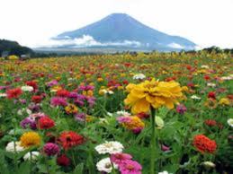 11.8.16-17`[hERV~YƗ}@RΉAk̂m点