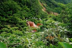 2011.9.3_`[hERV~Yuu˔\pjbN2vǂ̂2011@J܂B