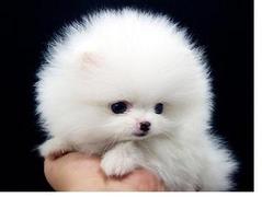 ȂɂeߊĂȂdbЂꋫɁB