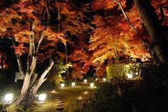 QOPPDPPDPR@qjR`EVûm点