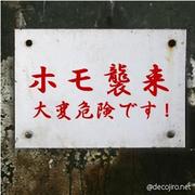 ЉAȂTĂ悤łBւ[hSJłB