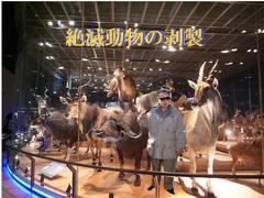 kN̖OAKL_pAjƎȂɐՂIibj