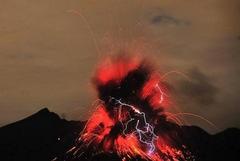 �������������΂̉�