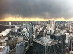 �R�D�P�P�l�H�n�k����A�ߌ�T������̓����̋�