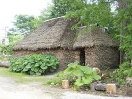 �Q�O�P�Q�D�T.�T(�y)�q�j����u����̂��m�点