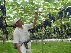 �Q�O�P�Q�N�T���Q�V���i���jRK���K�u����̂��m�点