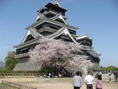 �P�Q�D�T�D�P�X�i�y�jRK�F�{�u����̂��m�点