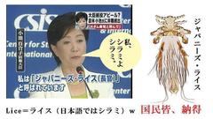 �u�����A�����J�v�̔ߖc���h��팸�A�Ί݂̉Ύ��ł͂Ȃ�