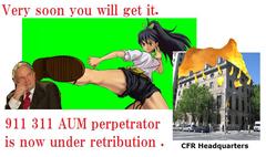 ���ʉ���