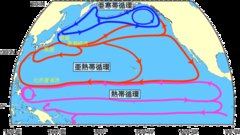 �V�̒t�������Ȃ��Ȃ萬�����������Ă���H