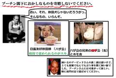 ����Ŗ@�A���ǁA���{�s�\�ŏI��邩�H