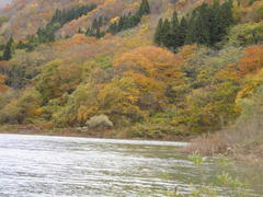 12.11.11RK�k��u����Q���E���������肪�Ƃ��������܂����B