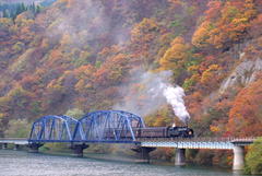 �Q�O�P�R�D�Q�D�P�O�i�b��j�ɐ��Łu�����w�ɎE����Ȃ����߂Ɂv�i����j���e�[�}�ɍu����{���k��