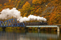 �u��������J�E��X�쒘��ɂ���