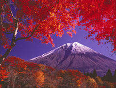 �P�Q�D�P�P�D�Q�P�i���j�@�P�W�F�R�O�`�@RK�É����u����ɂ��Ђ��Q�����������B