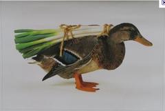 �č����_�����Z�������c�̖k���N��ؐl�Q�실�a�����A�e���~�T�C�����ˏ����B