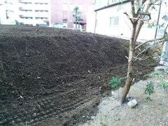 �s���I���F�^����ǋ�����ƉƂ̎���ŋN���邱�ƁB