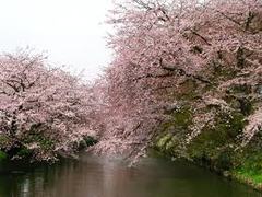 �s���I���F�^����ǋ�����ƉƂ̎���ŋN���邱�ƂT