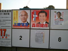 �s���I���|�X�^�[�F�u�{���ɑ����ɂȂ��āv���܂�����ʔ����Ǝv���̂ł����B