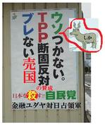 TPP:�����̂��Ȃ��O