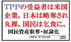 �u�V�F�[���K�X�i�C�v���s���B�ꎞ�A�o�u�����ł��������ă��_���č��o�ς��ꌩ������Ɍ����邽�߂̍��\�B