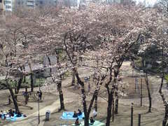 �����[���A3��29����RK�Ɨ��}�����r�܁u���Ԍ��v���ł��B