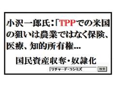 ���񂽁ATPP�̃����b�g��������Ă݂Ă����B�N�����҂��Ă��Ȃ�����ǁB