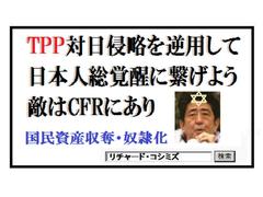 ��ΐ�k���i�r���E�g�b�e���j���ɂ��s�o�o�f�߁B