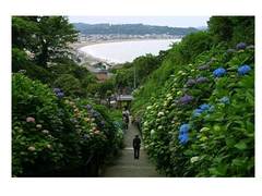 �{���A�Ós���q�ł�����܂��傤�B