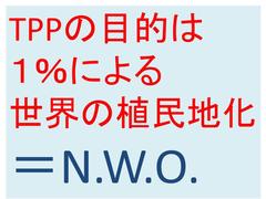 ���_�����u���v�𔄂藁�т��Ė\����U������.....