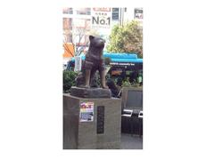 �ǔ��n���̓ǂސV�����A�v�[�`���ᔻ�L���������ւ��Ă��܂��ˁB