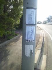 �s���I�������s�ł��Ȃ��Ǝ����͂ǂ��ł��{�������ł����Ԕ��\