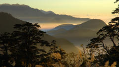 �I�ǂ̗Վ��E���Ƃ����[���̊Ď��̃o�C�g�Ƃ����낢�날��܂��B