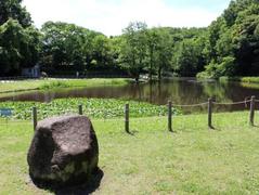 ���[���̂���ւ��΍R��i��āj