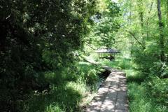 ���[���ǐՍ��