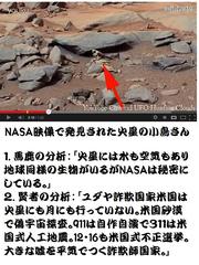 ���_���č����U�F���T���F�ΐ��ɐ��ޏ�������