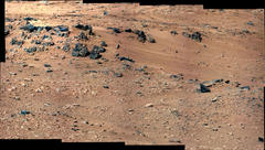 �ΐ��Ƀg�J�Q�A���X�A����������͂����Ȃ��B�ΐ��T���͉R�������I