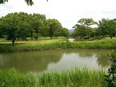 ���₨��ǔ�CIA���_���V�����A���_���z�ꒇ�Ԃ̈��{�U�����̔ᔻ�L���B