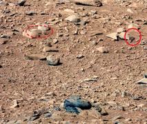 �ΐ��̃A�C�h���A���X����Ȃ�ł����ANASA�̓����ʐ^�ɂ�����C�ʂ��Ă����悤�ł��B