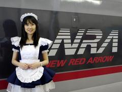 �������呍�� �T�[�x���X�̒�Ĕی�