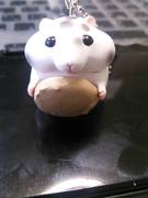 �g�c�Ɣ�����A�����ƌ��y���Ă��������B�u�s�@���@�I�@���v�ɁB