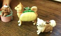 �V���P�Q�C�P�R���F�����̓}��RK�Ɨ��}�̋������ł��B