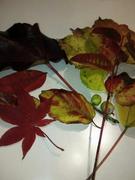 �u�č����_���l�ɑS�Ă����サ�Č�H�ɂȂ��āA��������̐N����j�~���Ă��炦�B�v