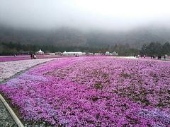 �s���I���̎��� 