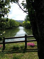 �u�č��̋U�ΐ��T���v�F�G�Q���X��o�[�W�����ł��B